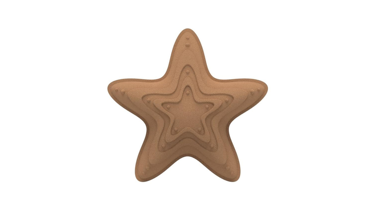 Starfish Mold