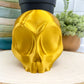 Skull Head Planters